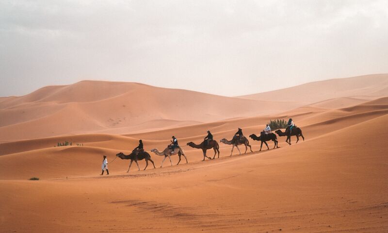 DISCOVER EGYPT & JORDAN TRIP